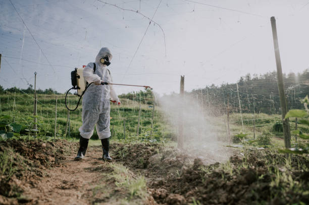 Best Mosquito Control Services  in North Barrington, IL