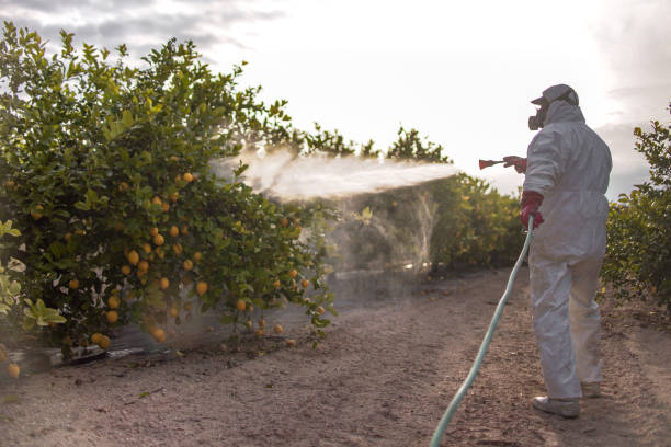 Best Local Pest Control Services  in North Barrington, IL