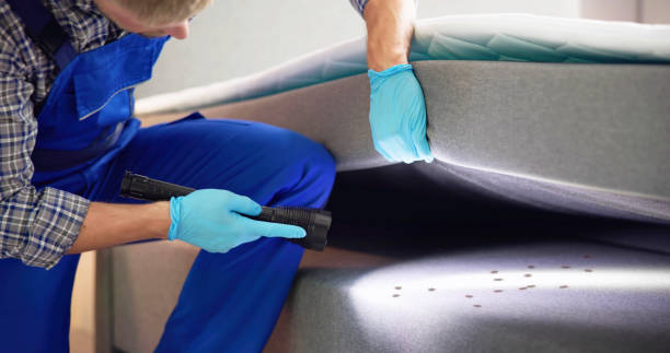 Best Pest Removal Services  in North Barrington, IL