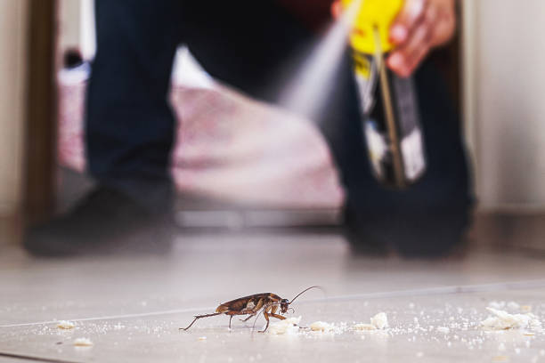 Best Spider Control Near Me  in North Barrington, IL