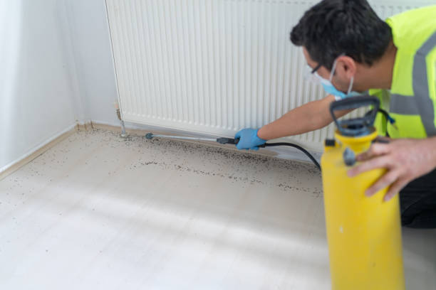 Best Best Pest Control Companies  in North Barrington, IL