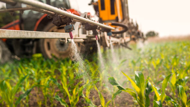 Best Ant Control Services  in North Barrington, IL
